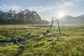 Suoi Tia scenic in the sunshine near Ho Tuyen Lam lake, Da Lat city, Vietnam Royalty Free Stock Photo