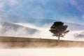 Suoi Vang lake with pine tree in the morning