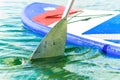 Sup surfing man stand up paddle boarder paddling at sunset on river Royalty Free Stock Photo