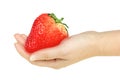 Super-big red strawberry in a hand Royalty Free Stock Photo