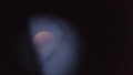 Super Blood Blue Moon through a Telescope and a Tree Royalty Free Stock Photo
