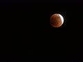 the super blood moon eclipse from mexico city, on jan 22 Royalty Free Stock Photo