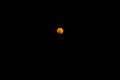 Super Blood moon Royalty Free Stock Photo