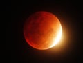 Super blood moon Royalty Free Stock Photo