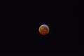 Super Blood Wolf moon at eclipse Royalty Free Stock Photo