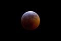 Moon Eclipse of 2019 Royalty Free Stock Photo