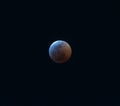 The Super Blood Wolf Moon Eclipse of 2019 Royalty Free Stock Photo