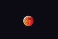 Super Blood Wolf Moon January 21st 2019