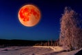 Super bloody moon winter view