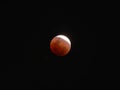 Super blue blood moon with partial lunar eclipse over dark sky background Royalty Free Stock Photo