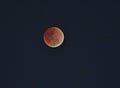 Super Blue Blood Moon in 31.01.2017 at 7.30 pm. Royalty Free Stock Photo