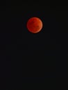 Super blue blood moon with total lunar eclipse over dark sky background Royalty Free Stock Photo