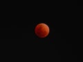 Super blue blood moon with total lunar eclipse over dark sky background Royalty Free Stock Photo