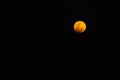 Super blue Blood moon of Total Lunar Eclipse on the sky Thailand