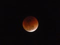 Super Blue Blood Moon and Total Lunar Eclipse Royalty Free Stock Photo