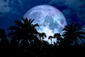 super blue moon back silhouette in the ancient palm night blue s