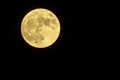 Super Blue Moon capturedYesterday Royalty Free Stock Photo