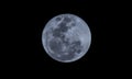 Super Blue Moon Royalty Free Stock Photo