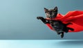 Super cat in hero outfit gazing ahead with copy space, isolated on pastel background Royalty Free Stock Photo