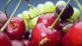 Super close up. Details of cherries, green and red grapes in a basket