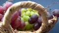 Super close up. Details of cherries, green and red grapes in a basket