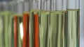 Super close-up of laboratory tubes with different liquids standing on the table