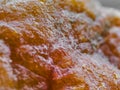 super close up photo of mushrooms growing on bread tray Royalty Free Stock Photo