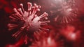 Super closeup Coronavirus COVID-19 in human lung body background. Science microbiology concept. Red Corona virus outbreak epidemic Royalty Free Stock Photo