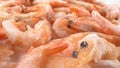 super closeup, detailed. frozen boiled tiger prawns isolated on white background