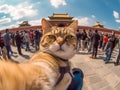 A super cool cat taking a selfie, packed by a crowded throng of human tourists and the Forbidden City.Generative AI