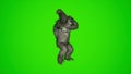 super cool 3d King Kong Dancing KPOP on green screen