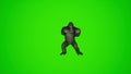 super cool 3d King Kong Dancing KPOP on green screen