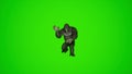 super cool 3d King Kong Dancing KPOP on green screen