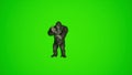 super cool 3d King Kong Dancing KPOP on green screen