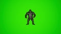 super cool 3d King Kong Dancing KPOP on green screen