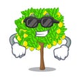 Super cool lemon tree isolated with the mascot