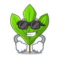 Super cool sassafras leaf in the cartoon stem