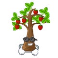 Super cool strawberry tree in the mascot pots