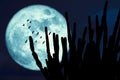 Super corn blue moon birds and silhouette cactus tree in the desert night sky