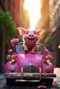 A super cute adorkable fluffy Pink Pig is smiling happily, very happy, sitting on the roof of a taxi Royalty Free Stock Photo