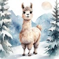 super cute llama with very big eyes, kind, smiling - 1 Royalty Free Stock Photo