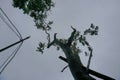 Super cyclone Amphan, West Bengal, India