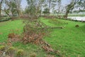 Super cyclone Amphan caused devastation, West Bengal, India