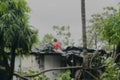 Super cyclone Amphan, West Bengal, India