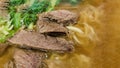 super delicious japanese and korean fusion beef ramen, Bowl of mouth watering Japanese ramen for single serving Royalty Free Stock Photo