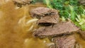 super delicious japanese and korean fusion beef ramen, Bowl of mouth watering Japanese ramen for single serving Royalty Free Stock Photo