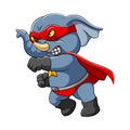 The super elephant is stepping with the punch pose by wearing red mask and robe