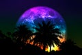 super flower colorful moon back silhouette palm tree on night sky Royalty Free Stock Photo