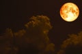 super full blood moon back over silhouette cloud night sky Royalty Free Stock Photo