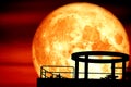 super full blood moon back over silhouette cycle on roof of building red sky Royalty Free Stock Photo